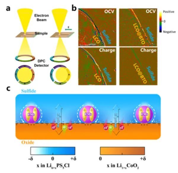 固态电池|科学家实现硫化物基固态电池界面锂传输的原位可视化和内电场调控