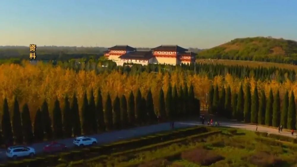 深秋是银杏林最美的时候汉阳陵内这片银杏林 是西安周边面积最大的