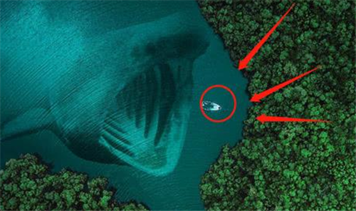 马里亚纳海沟|日本潜艇深入海底1万米，捕捉到的一海洋生物，给人类敲响了警钟