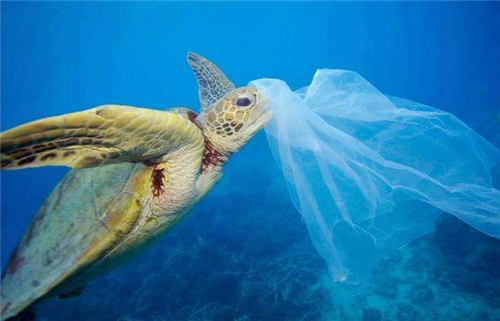 马里亚纳海沟|日本潜艇深入海底1万米，捕捉到的一海洋生物，给人类敲响了警钟