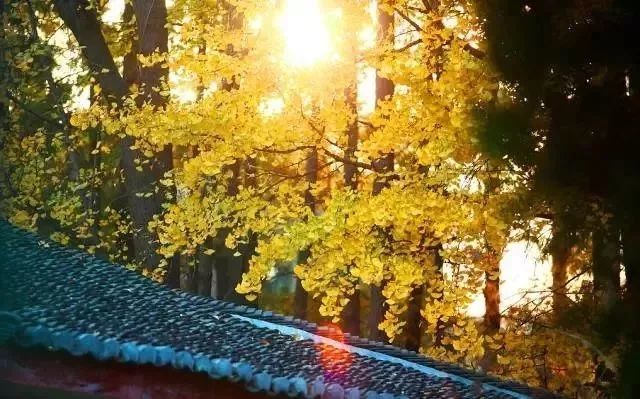 对联|10副智慧对联：已甘常悯先人苦，能俭犹防后世奢