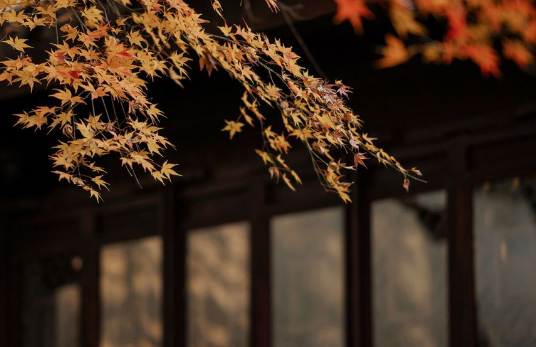 对联|10副智慧对联：已甘常悯先人苦，能俭犹防后世奢