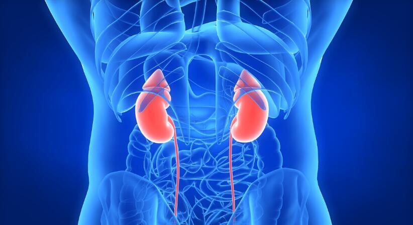 肾病|肾病不一定会尿毒症，但5个行为却会加速肾衰竭，早重视为妙