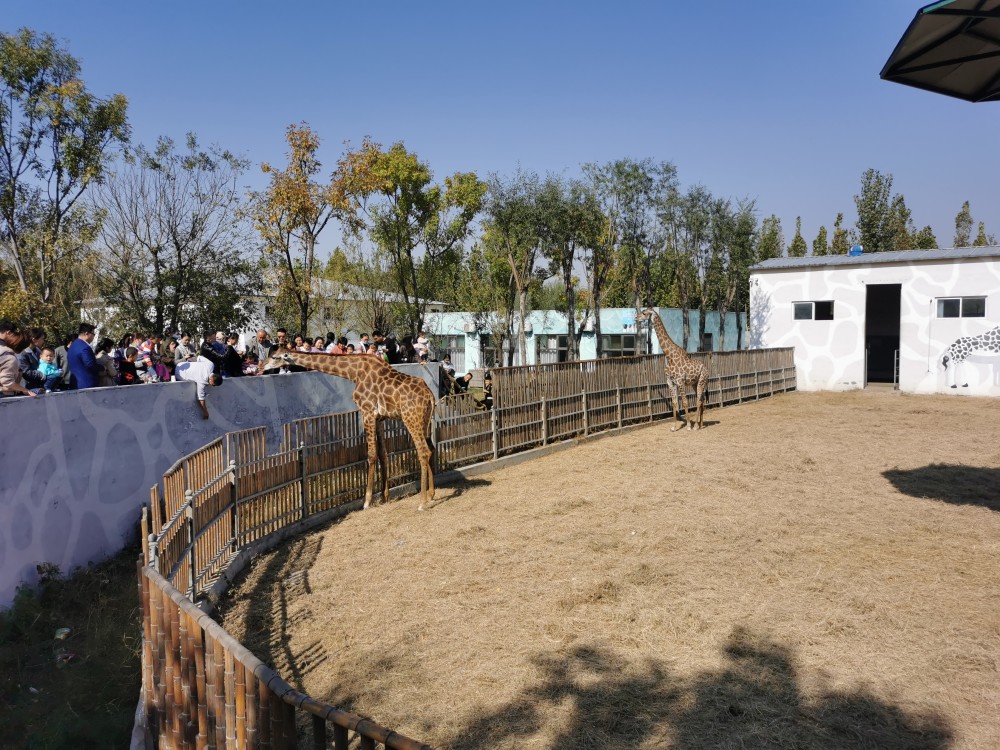 聊城滨河动物园