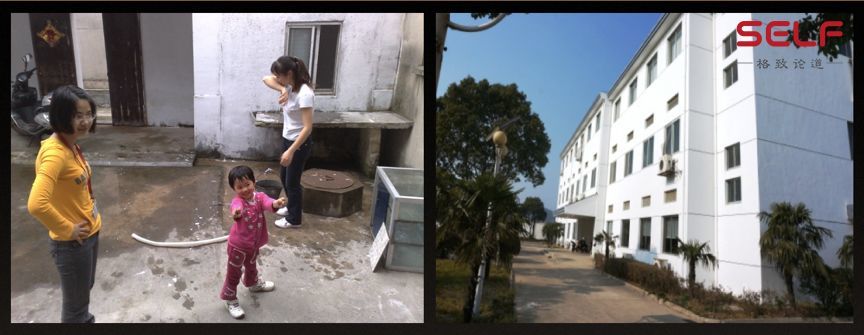 克隆猴|与猴为伴九年，科学家成功培育出世界首例体细胞克隆猴