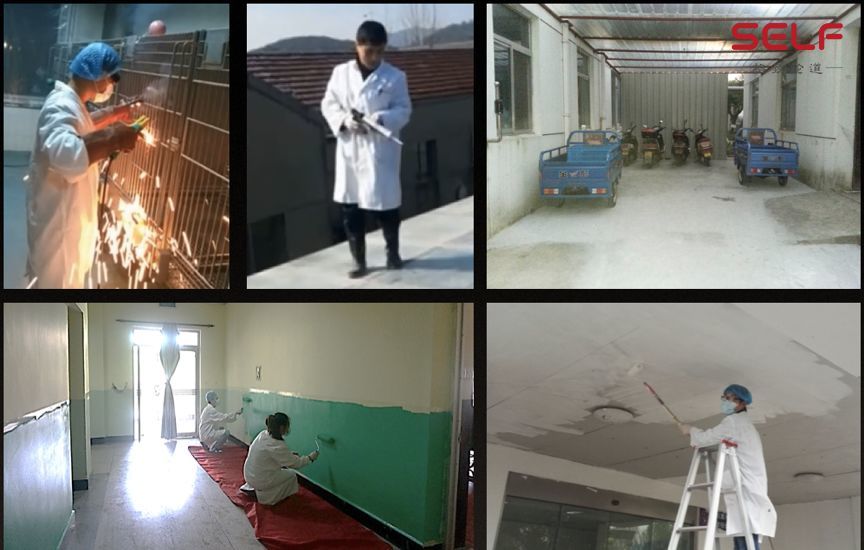 克隆猴|与猴为伴九年，科学家成功培育出世界首例体细胞克隆猴