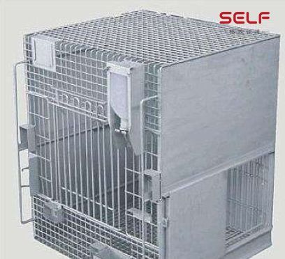 克隆猴|与猴为伴九年，科学家成功培育出世界首例体细胞克隆猴