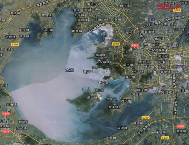 克隆猴|与猴为伴九年，科学家成功培育出世界首例体细胞克隆猴