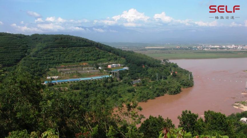 克隆猴|与猴为伴九年，科学家成功培育出世界首例体细胞克隆猴