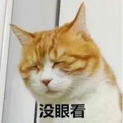 时尚圈|白冰要做唐唐第二？“偷高定”穿山寨，从此进时尚圈黑名单