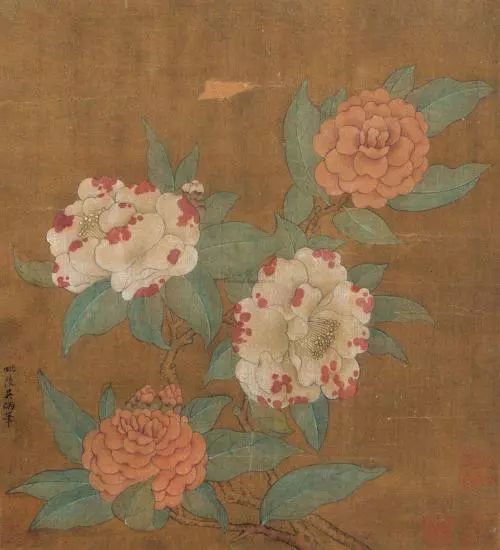 山茶花|观花拾趣丨山茶花：具松柏之骨，挟桃李之姿