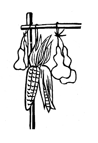 家庭园艺|京华物语 丨北京的居民都是爱花的人