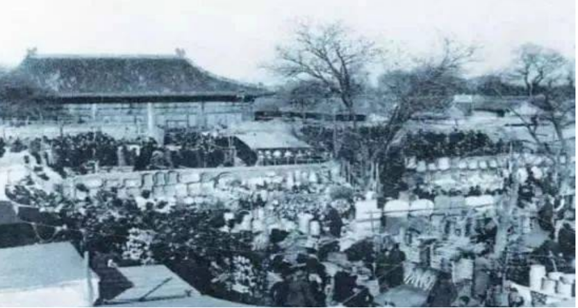 家庭园艺|京华物语 丨北京的居民都是爱花的人