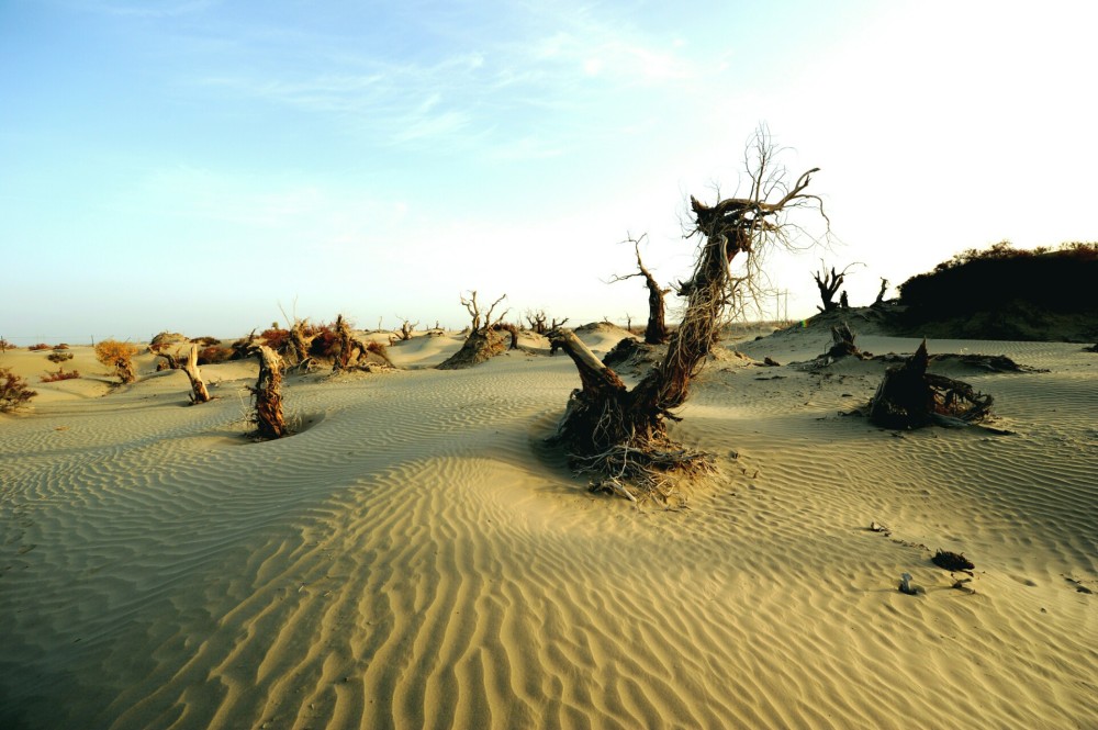 淡水|中国最大沙漠下，隐藏着一片大海？淡水储量相当于8条长江