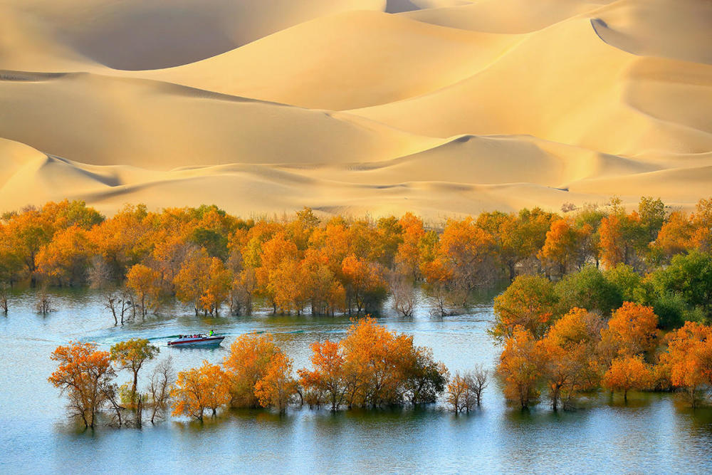 淡水|中国最大沙漠下，隐藏着一片大海？淡水储量相当于8条长江