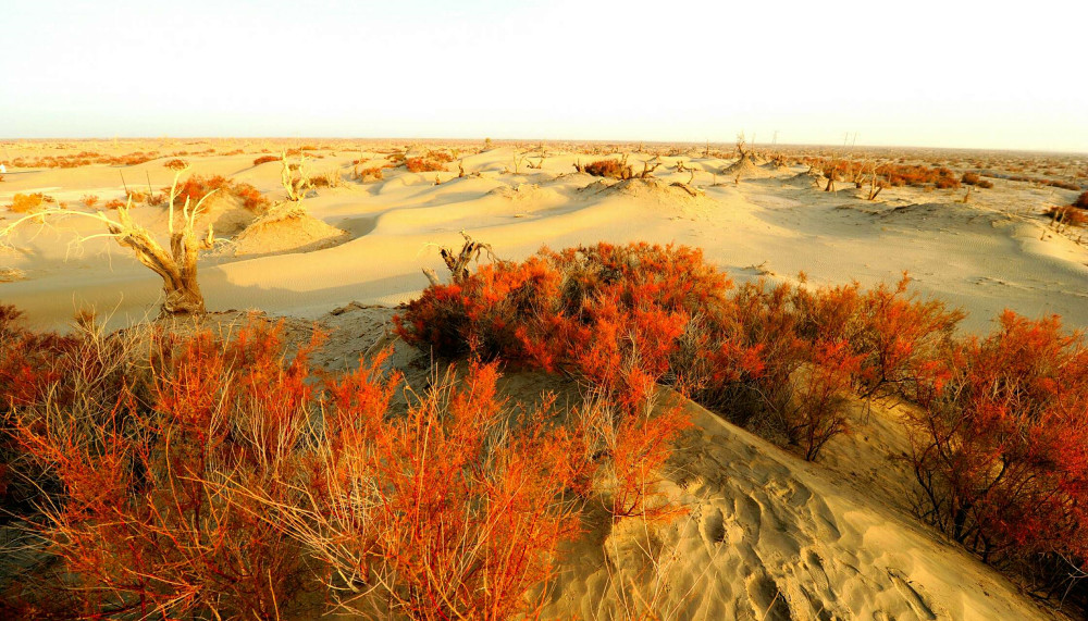 淡水|中国最大沙漠下，隐藏着一片大海？淡水储量相当于8条长江