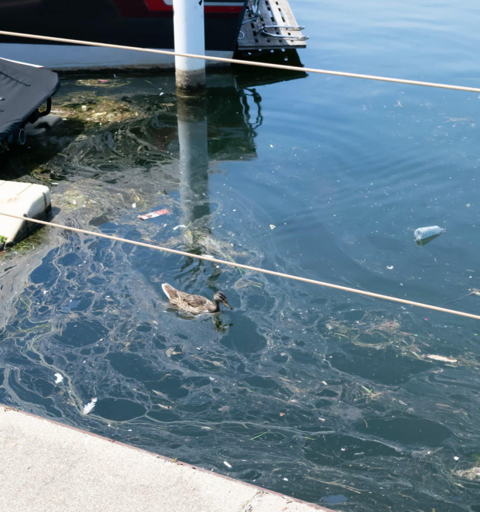 地球|美国五大湖，是如何变脏的？