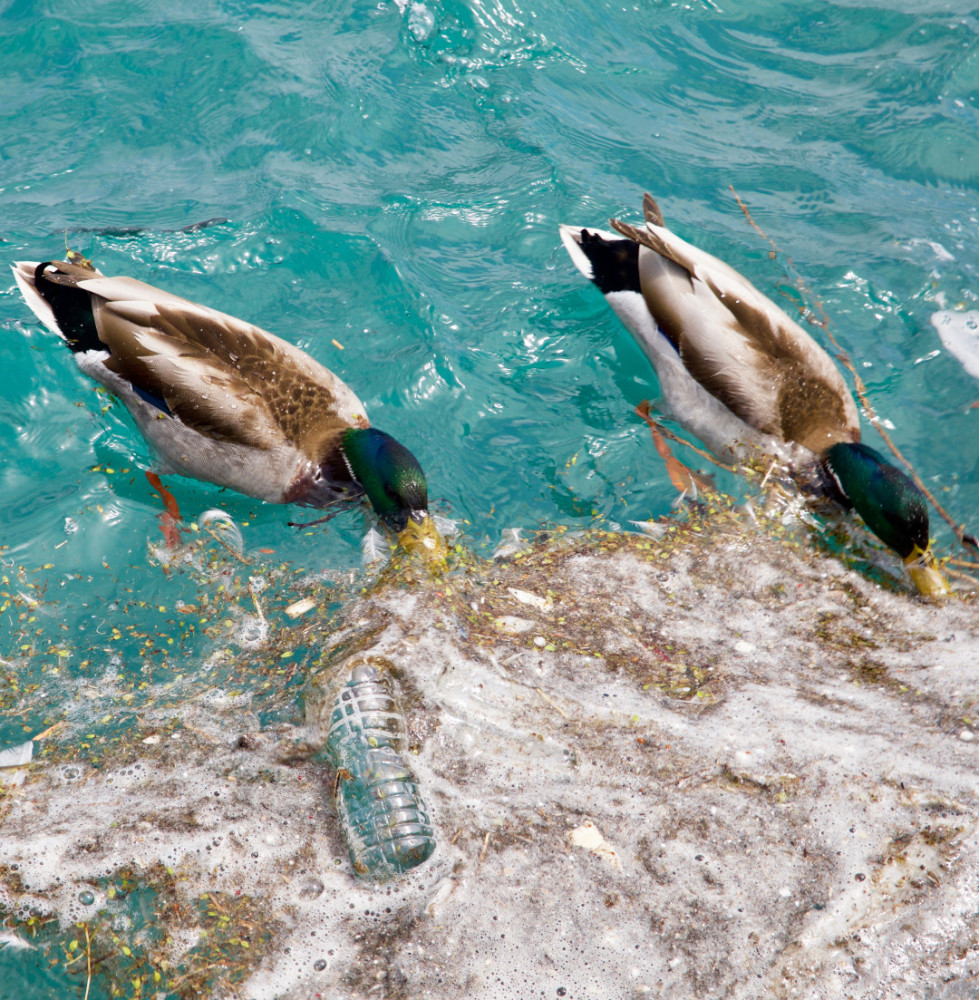 地球|美国五大湖，是如何变脏的？