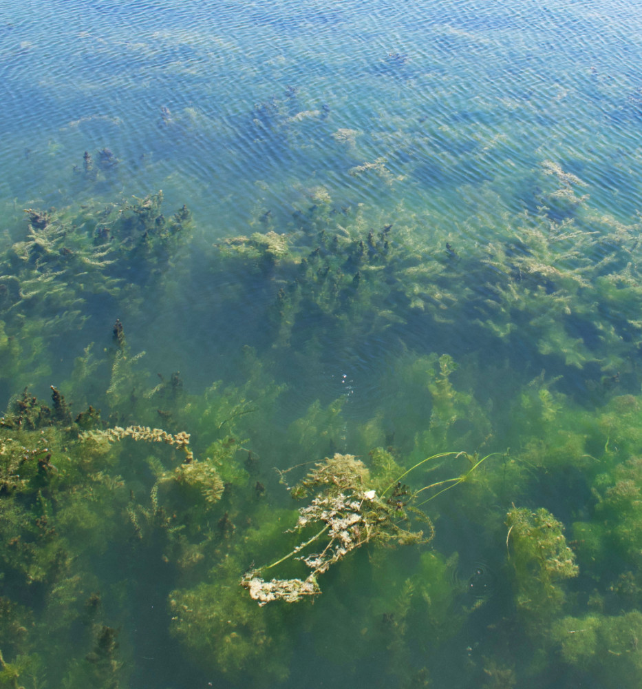 地球|美国五大湖，是如何变脏的？