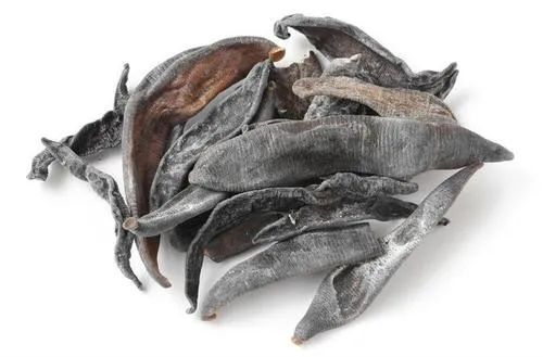 "芪蛭胶囊"第2期—水蛭:心脑血管疾病的克星