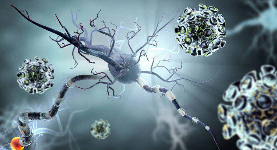 基因|夜行猛禽！原来也是白天狩猎的，不经意的基因进化改变了这一切！