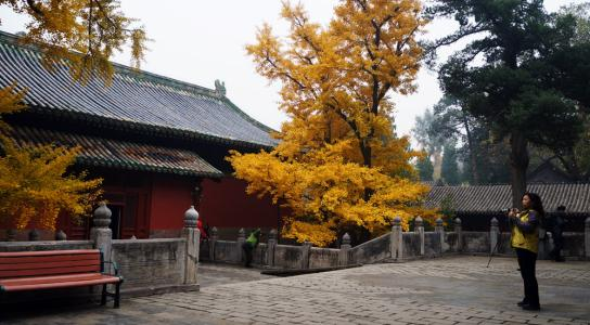 寺庙|北京一座千年古寺，藏有寺庙“八绝”，古韵悠悠让人流连忘返