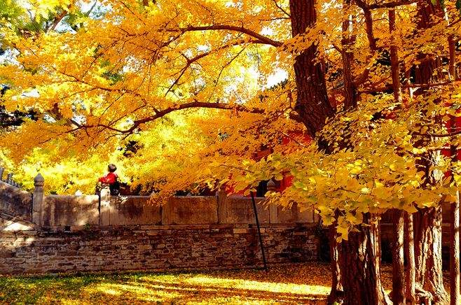 寺庙|北京一座千年古寺，藏有寺庙“八绝”，古韵悠悠让人流连忘返