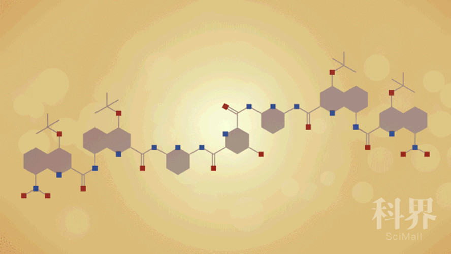 萨姆·格尔曼|折叠体，向超越生物学进军