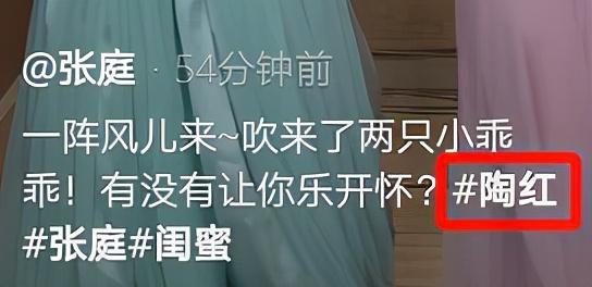 张庭|张庭陶虹大秀闺蜜情！穿同款上衣热舞似少女，后者刚获赠一层楼