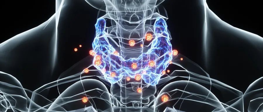 甲状腺功能减退|血脂总降不下？中老年人，快查查你的甲状腺