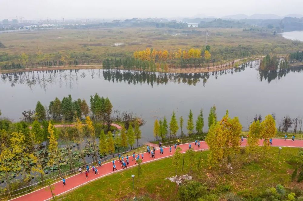 2020环龙水湖半程马拉松赛鸣枪开跑4995名跑友共享环湖马拉松乐趣