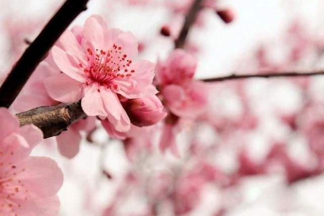 10月30号 生肖蛇会遇见一辈子最大的贵人 经历3次喜事 财运 贵人 生肖