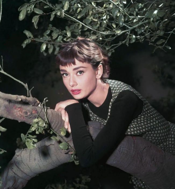 赫本旧照复古格纹裙搭配推荐three graces aurora 格纹连衣裙 4960元