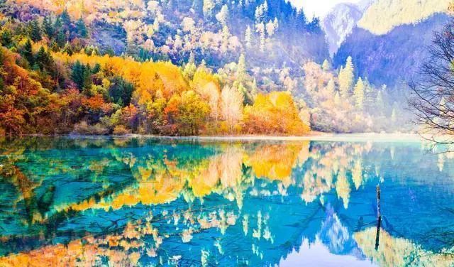 一到秋季 中国就很美 你爱看 五花肉 还是 五色湖 五色湖 四川九寨沟 红叶风景区 喀纳斯湖