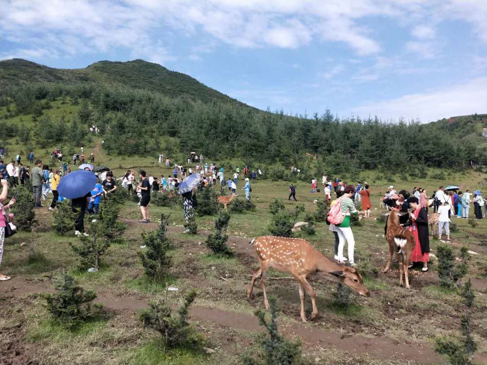 红色文化添动力 山水田园今更秀——渭源县元古堆村发展乡村旅游见闻