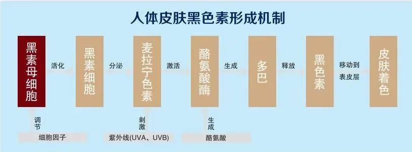 尿毒症|透析会脸色发黑？这个原因你找到了吗？