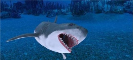 鲨鱼|在地球上生活了4亿年，鲨鱼开始功能性灭绝，人类脱不了关系