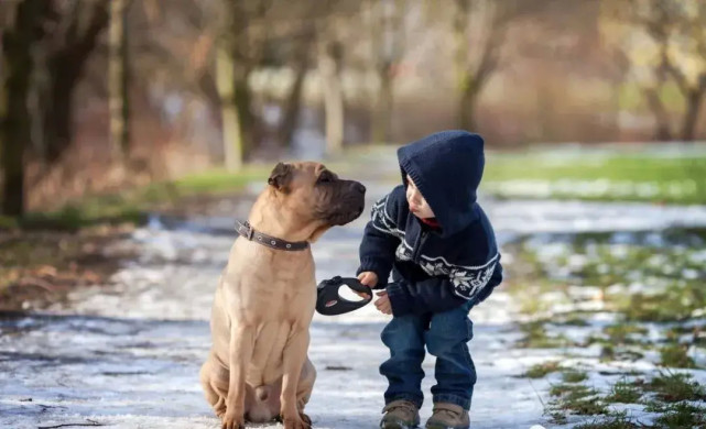 你对养宠物的态度决定了孩子的幸福度