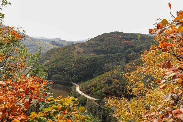 郟縣茨芭空山洞紅葉迎客來