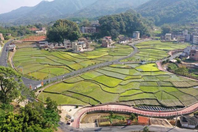 盘活乡村资源让家园更富美|原始森林公园|砂田镇|广东|黄花村|丰顺县