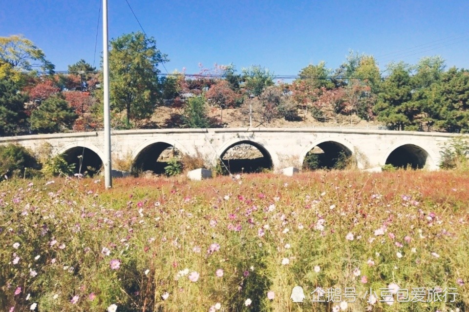 北京|京郊“网红花海”免费打卡地，红叶、银杏叶成林且正艳，别错过