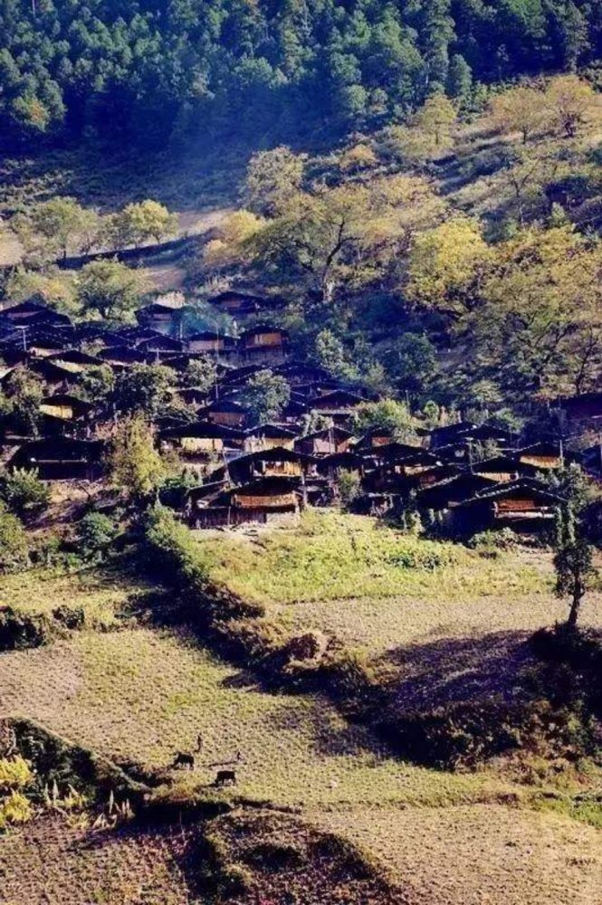 云南旅行|叶枝古镇