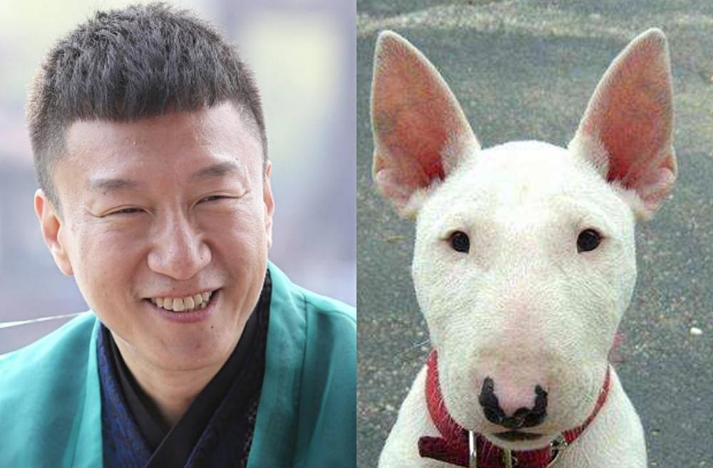 那些和明星撞脸的人马丽韩国意外出道最后一个差点以为是本人