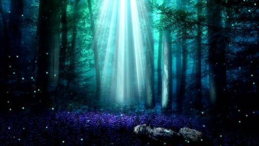 近体诗|唐诗五律的压卷之作是哪首，为什么？