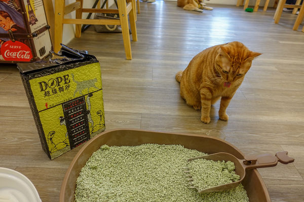 岩石|酿酒，岩石也有份儿？