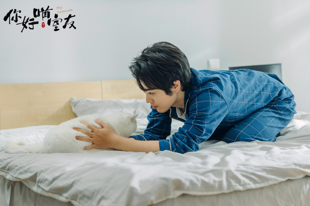 《你好喵室友》郑云龙马伯骞杨天翔花式养猫