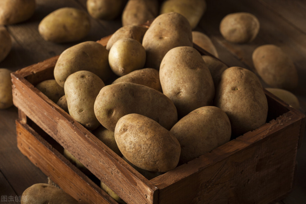 土豆|土豆发芽不要扔，放到阳台来点土，结一窝又一窝，全家人都吃不完