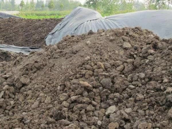 尿素|1000斤鸡粪＝153斤尿素，为什么不使用呢？