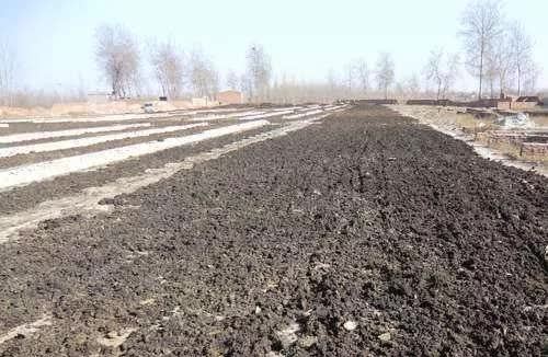 尿素|1000斤鸡粪＝153斤尿素，为什么不使用呢？