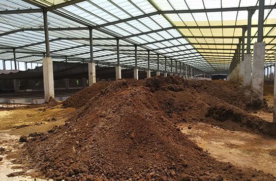 尿素|1000斤鸡粪＝153斤尿素，为什么不使用呢？